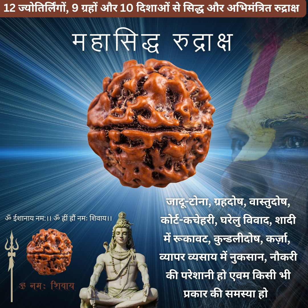 Mahasiddha Rudraksha -महासिद्ध रुद्राक्ष
