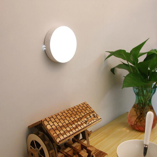 MOTION SENSOR RE-CHARGEABLE LIGHT